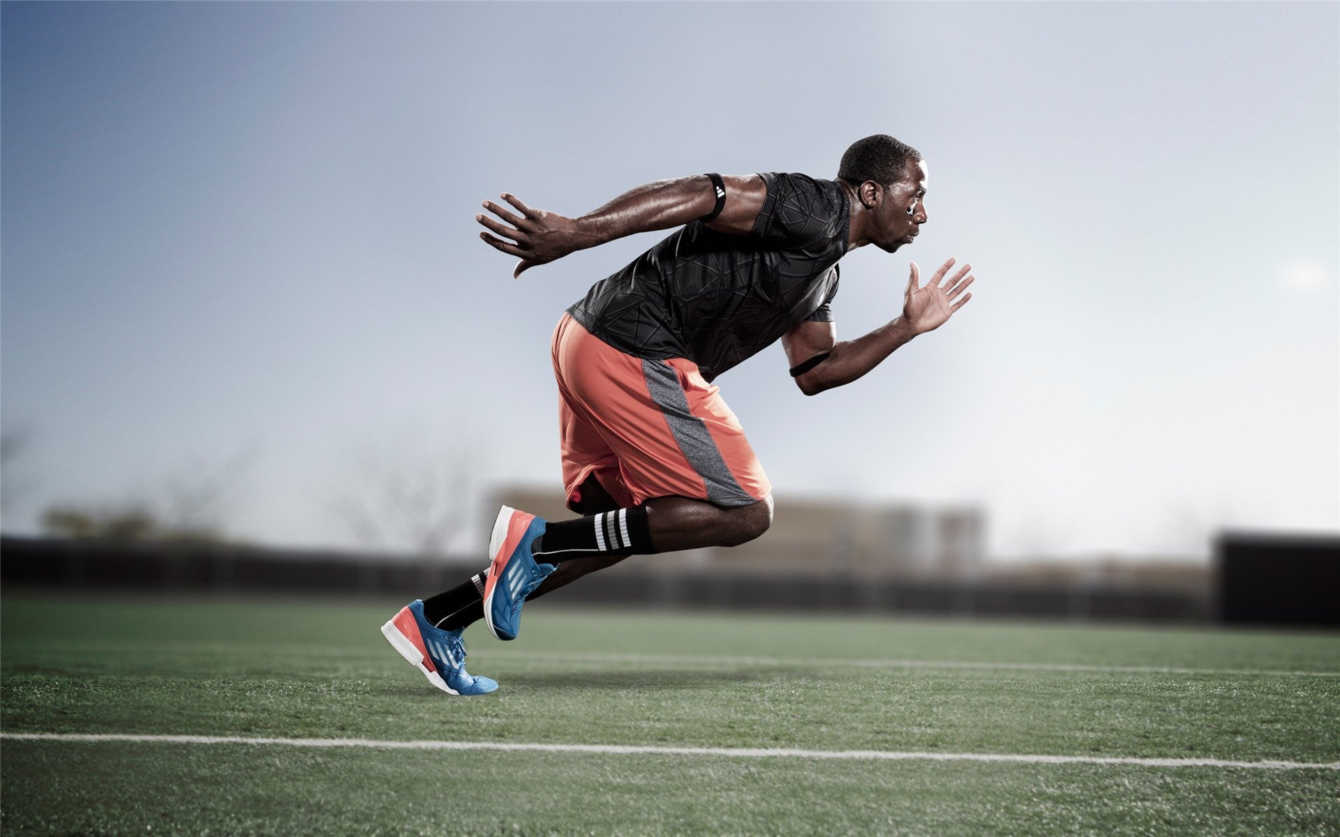 年终盘点：那些令人难以忘怀的WRC高光时刻，wrc高清